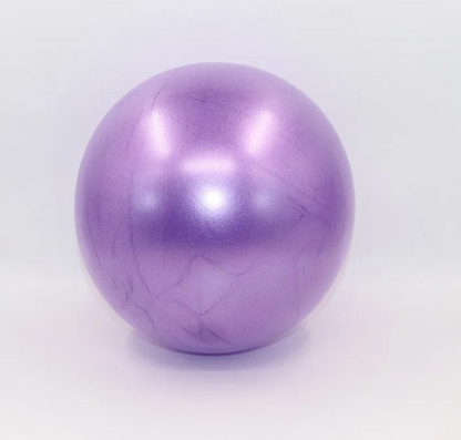25cm Pilates Mini Ball