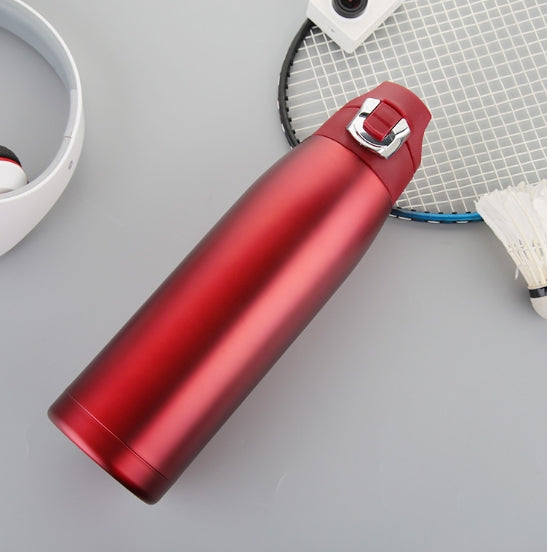 900ml Insulated Stainless Steel Bottle